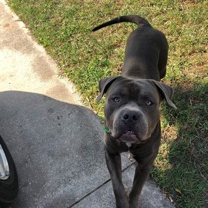 Meet your Posher, Destiny